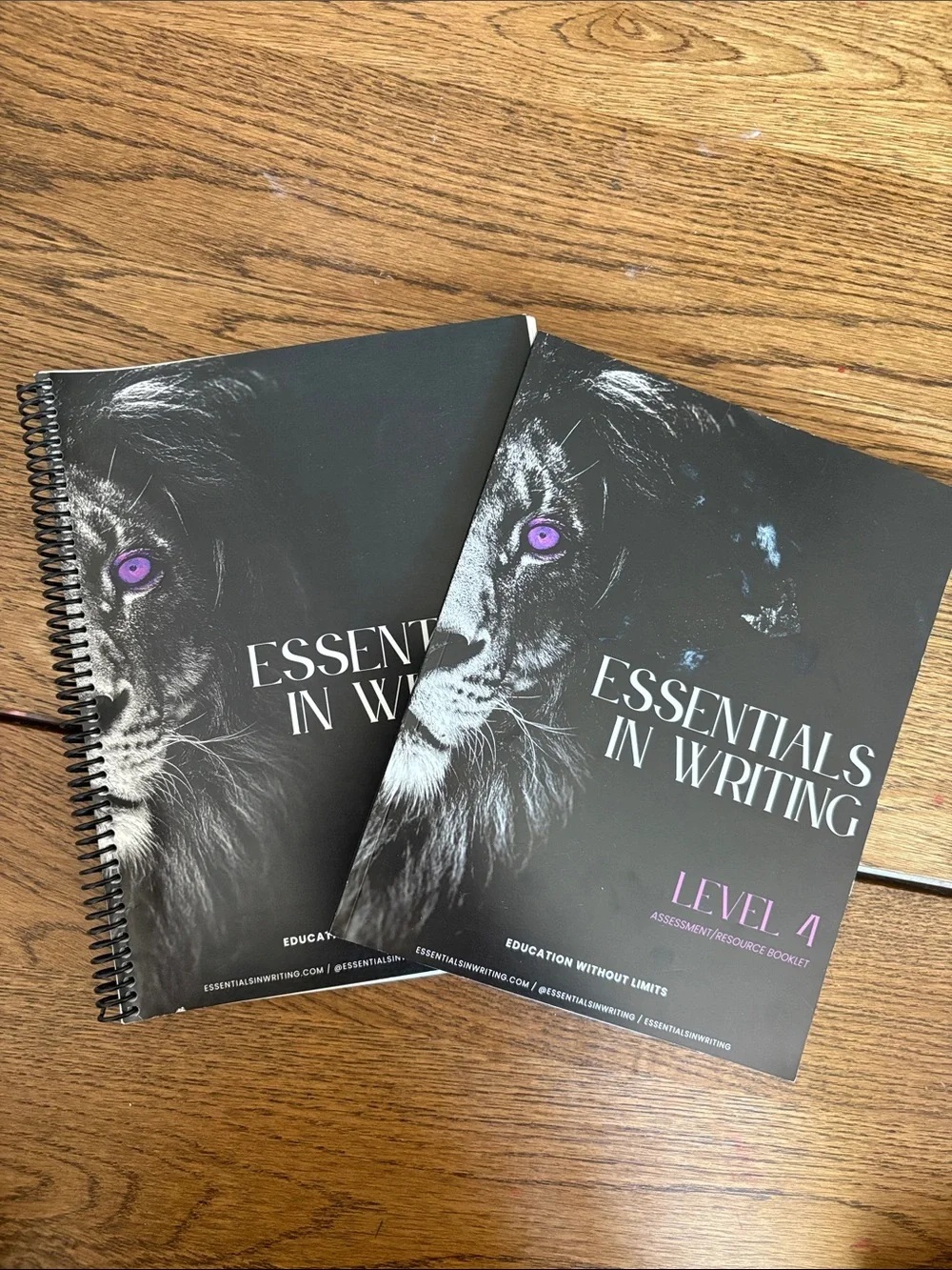 NEW EIW Essentials in Writing Level 4 Workbook + Assessment Resource Homeschool